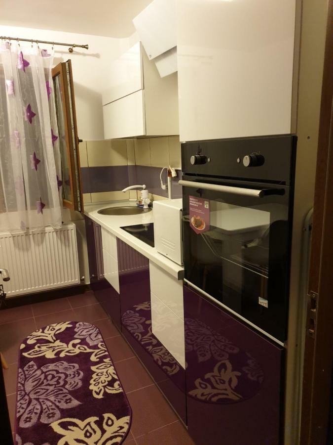 Apartament Oana'S Home Orşova المظهر الخارجي الصورة