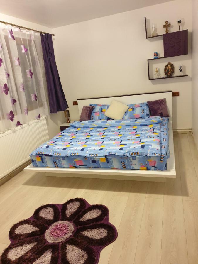 Apartament Oana'S Home Orşova المظهر الخارجي الصورة